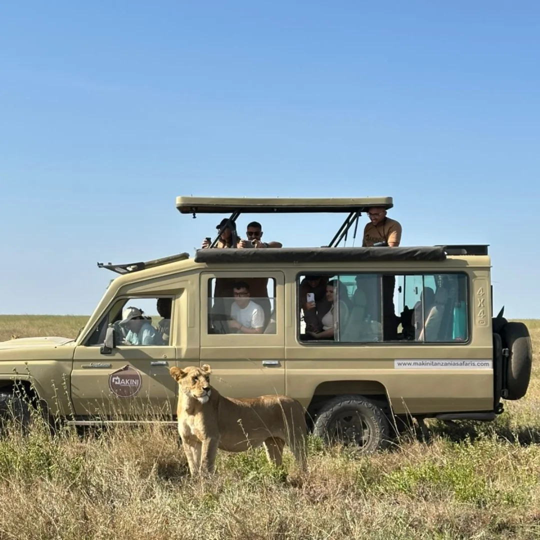 Great Migration Safari, Serengeti