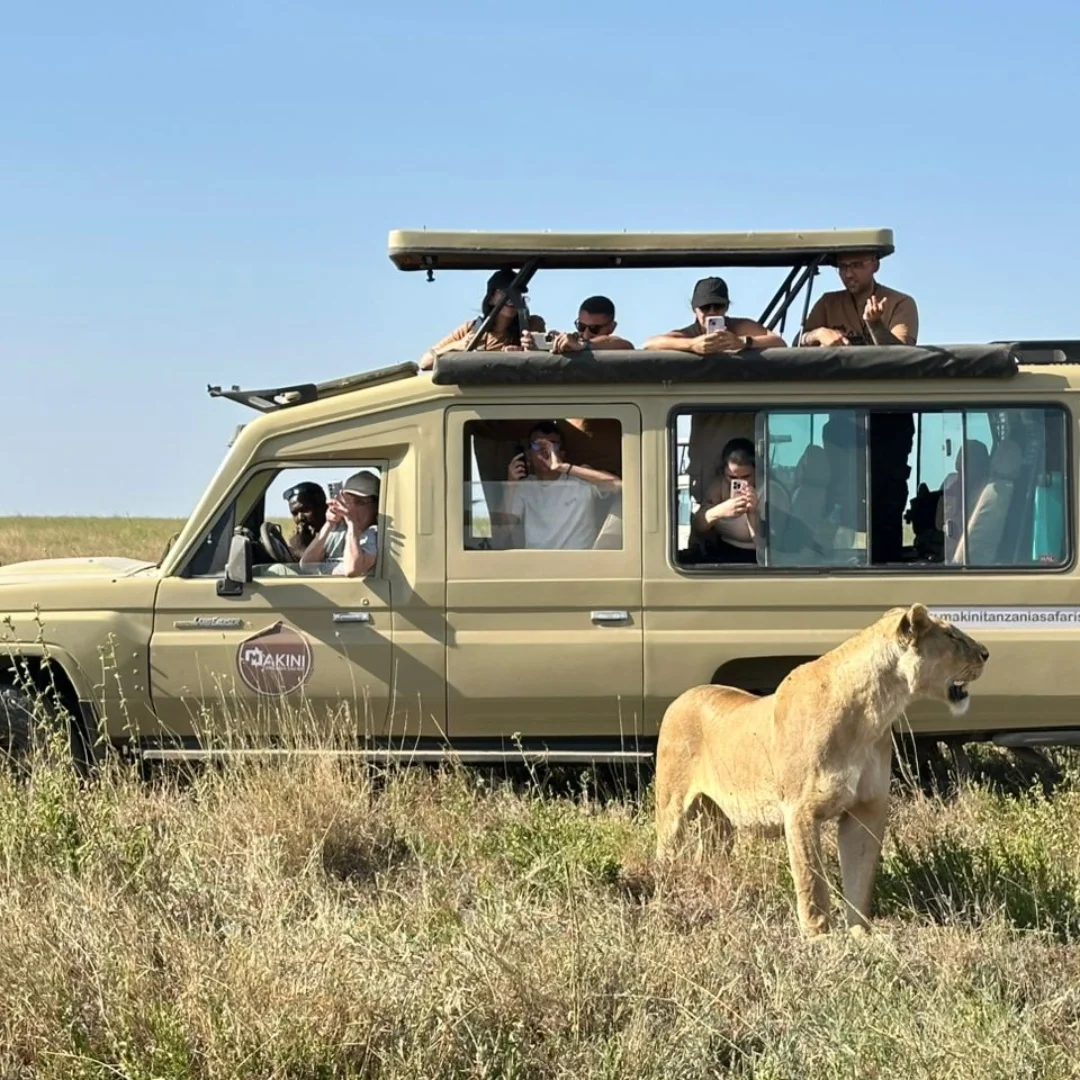 Budget safari, Tanzania