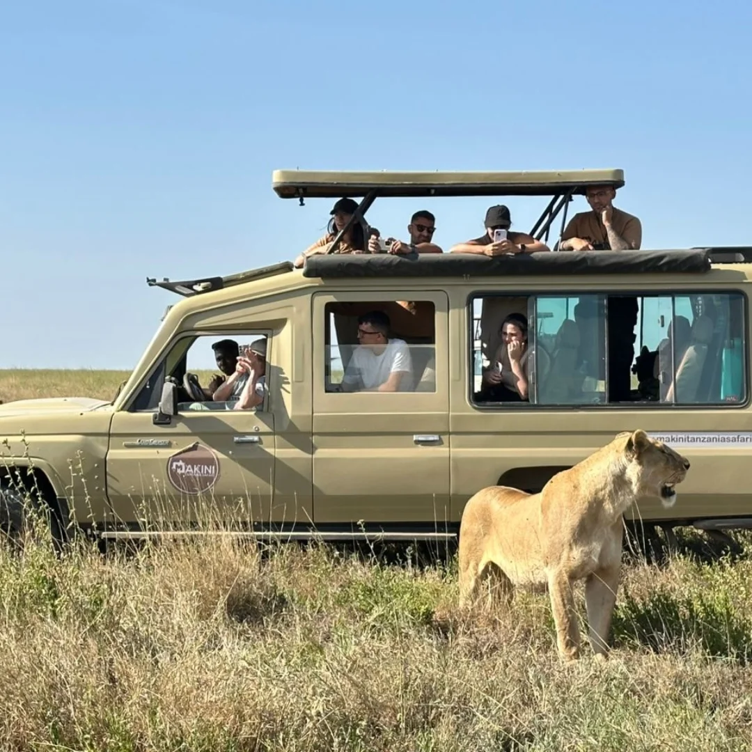 Makini safari vehicle on game drive