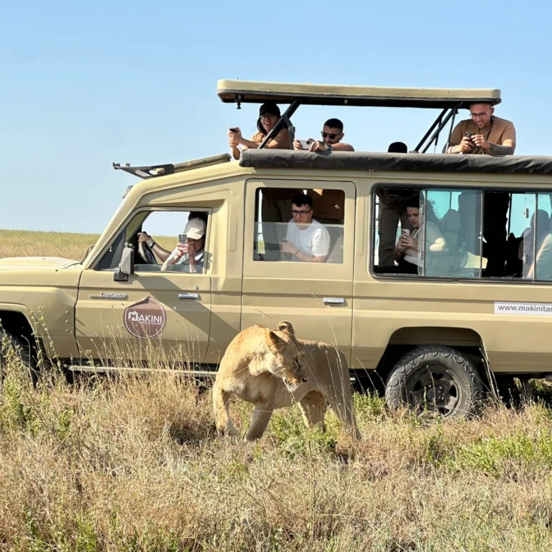 Safari game drive, Lake Manyara
