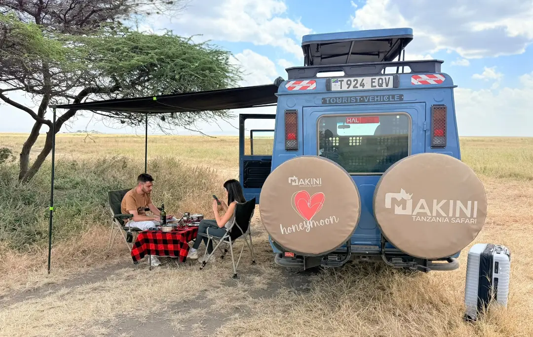 5-Day Great Migration Fly-In from Zanzibar