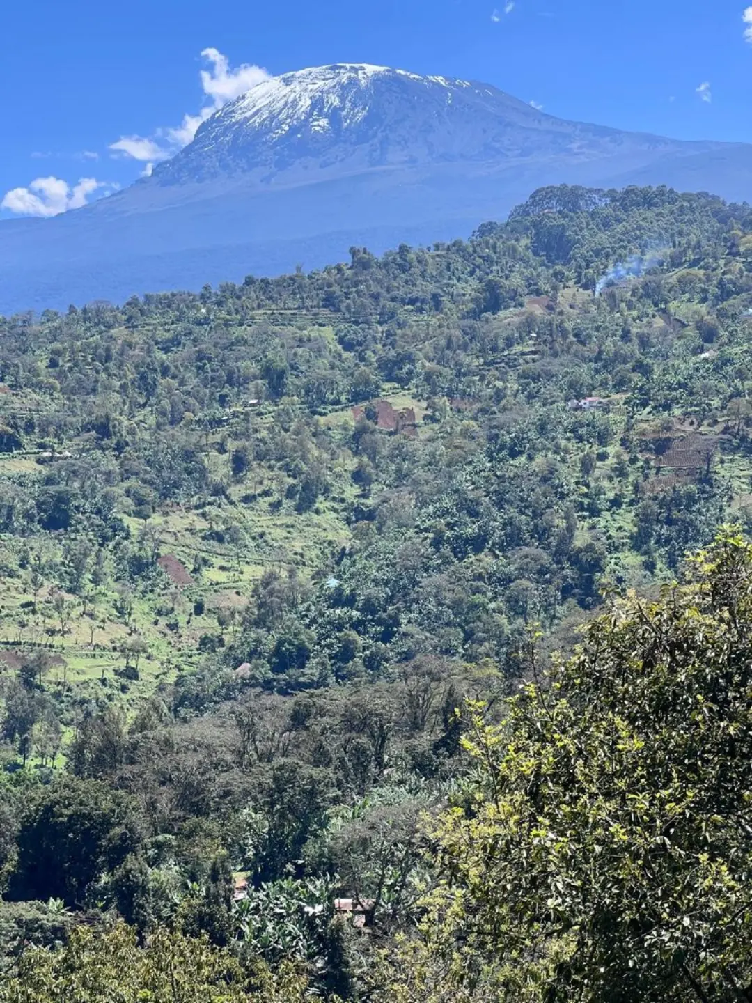 Rift Valley landscape near Ol Doinyo Lengai